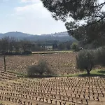 L'ombre De La Glycine Du Golfe De Saint Tropez