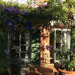 L'ombre De La Glycine Du Golfe De Saint Tropez Tatil Evi Gassin
