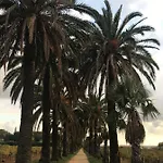 Tatil Evi L'ombre De La Glycine Du Golfe De Saint Tropez *