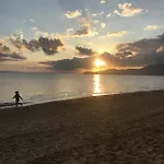 L'ombre De La Glycine Du Golfe De Saint Tropez