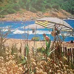 L'ombre De La Glycine Du Golfe De Saint Tropez Tatil Evi *