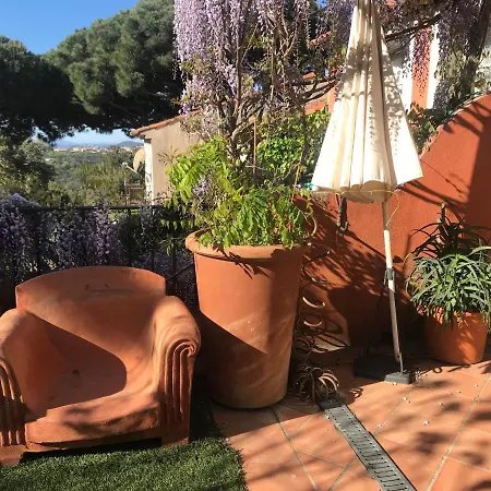 L'ombre De La Glycine Du Golfe De Saint Tropez Gassin