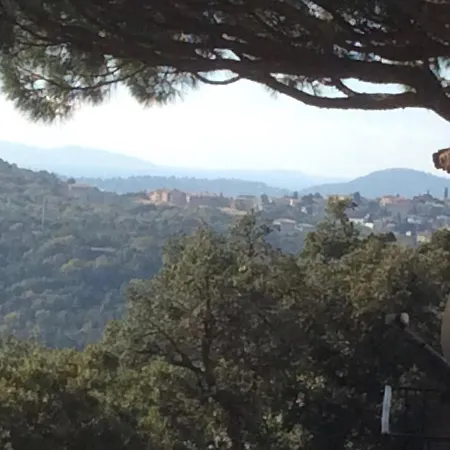 L'ombre De La Glycine Du Golfe De Saint Tropez *