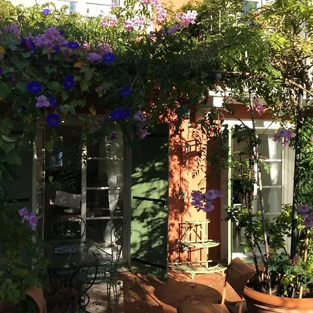 L'ombre De La Glycine Du Golfe De Saint Tropez Holiday home Gassin