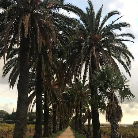 別荘 L'ombre De La Glycine Du Golfe De Saint Tropez *