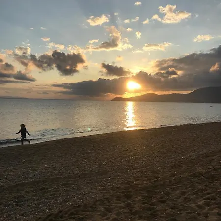 L'ombre De La Glycine Du Golfe De Saint Tropez