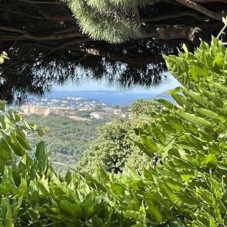L'ombre De La Glycine Du Golfe De Saint Tropez 別荘