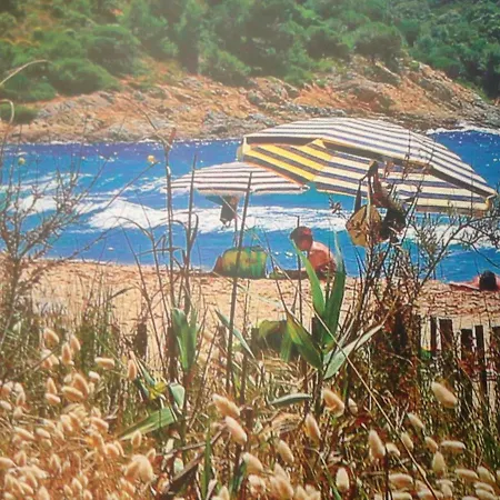 L'ombre De La Glycine Du Golfe De Saint Tropez Dom wakacyjny *