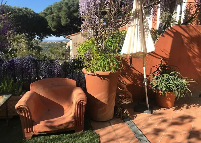 L'ombre De La Glycine Du Golfe De Saint Tropez Gassin