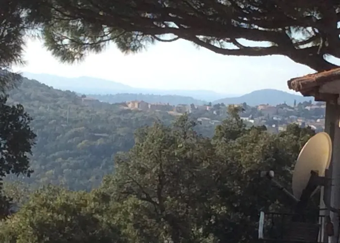 L'ombre De La Glycine Du Golfe De Saint Tropez *