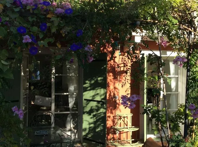 L'ombre De La Glycine Du Golfe De Saint Tropez Casa vacanze Gassin