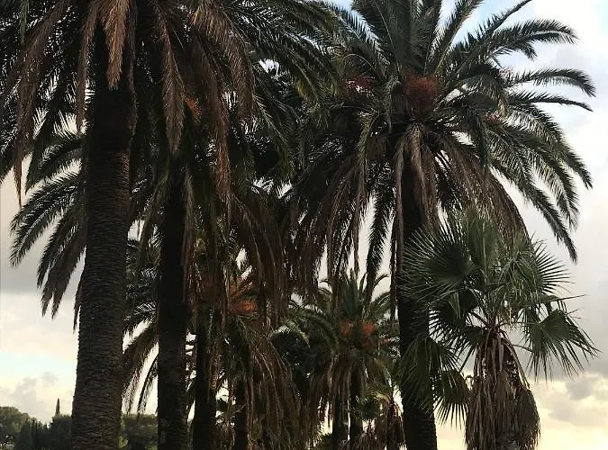 بيت للعطل L'ombre De La Glycine Du Golfe De Saint Tropez *