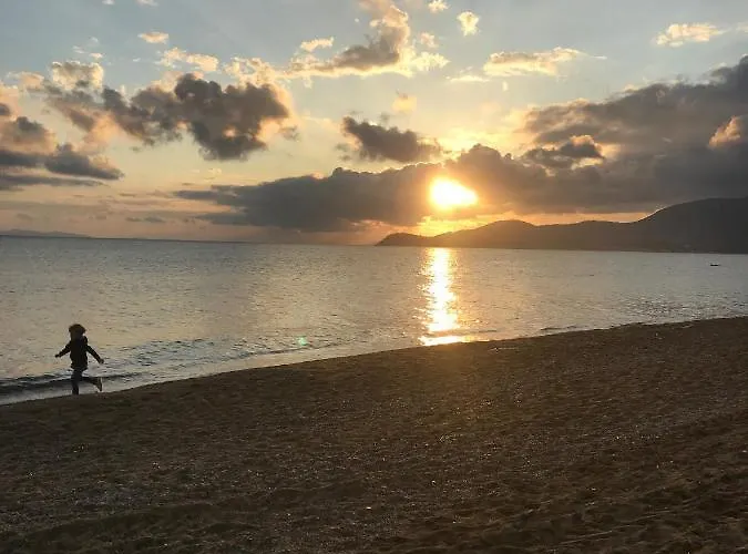 L'ombre De La Glycine Du Golfe De Saint Tropez