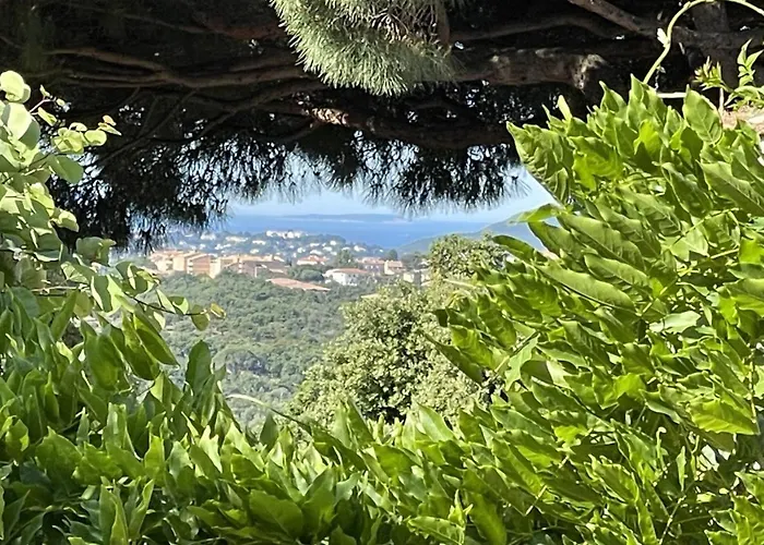 L'ombre De La Glycine Du Golfe De Saint Tropez Casa vacanze