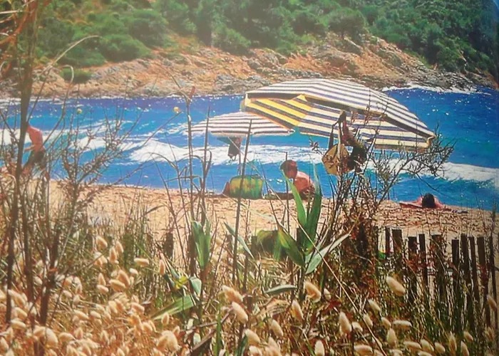 L'ombre De La Glycine Du Golfe De Saint Tropez Casa vacanze *